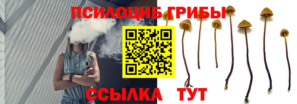 где купить   Галлюциногенные грибы Psilocybine cubensis  Бийск  Вход с VPN  Псилоцибиновые грибы MAGIC MUSHROOMS 